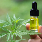 How Good Is The Best CBD Oil for Cats