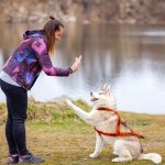 The Benefits of a Dog for Your Family
