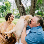 Open a pet shop: 5 ideas and tips to be successful