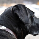 Martineau River Outfitters: Leading the Way in Ethical Hunting and Conservation