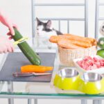 Human Foods That Are Dangerous for Dogs
