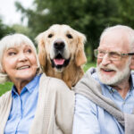 Human Foods That Are Dangerous for Dogs