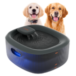 Essential Services Every Veterinary Hospital Should Offer for Your Pet’s Health