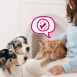 Tips for first-time buyers of shih Tzu puppies